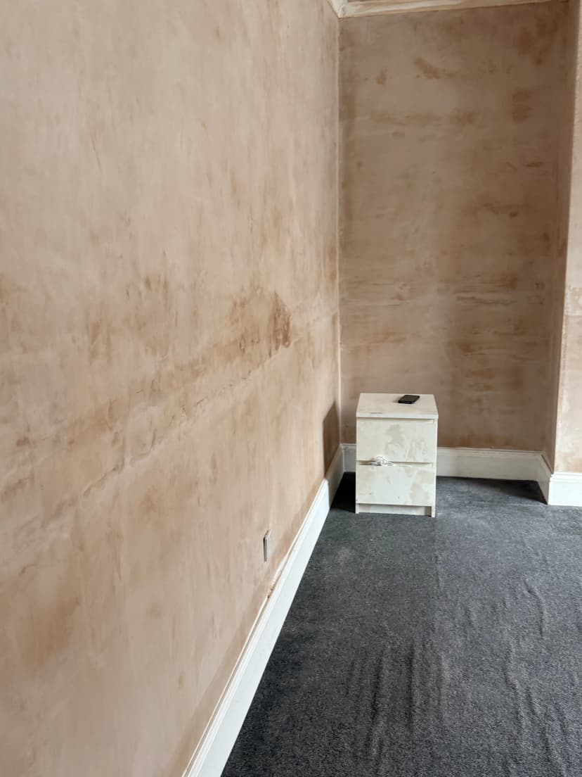 Professional plastering and damp proofing work completed in the North East
